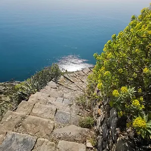https://casa-anna-ceparana.hotelitalianriviera.com